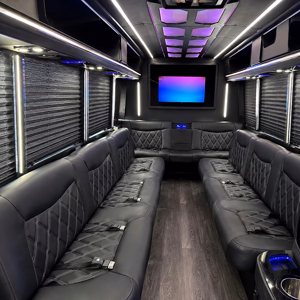erie party bus rental interior