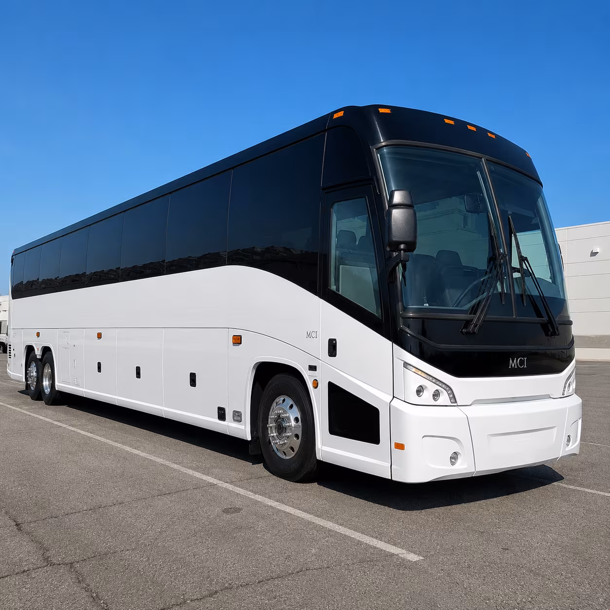 minibuses charter buses to the erie zoo for school groups